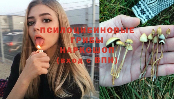 спайс Коряжма