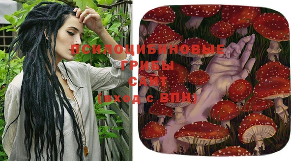 спайс Коряжма