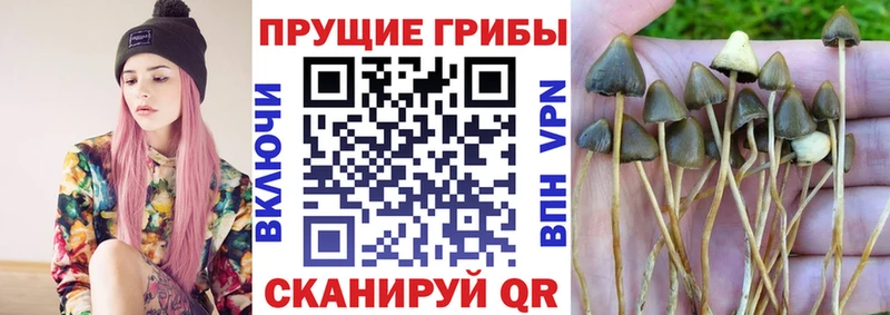 Галлюциногенные грибы мухоморы Купить закладки Муром
