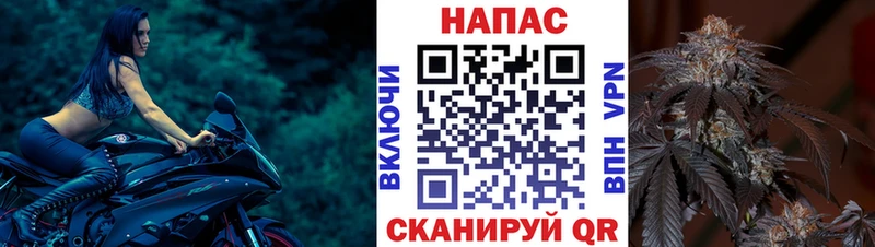 Купить где Муром Канабис SATIVA & INDICA